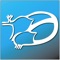 TTE Views is an educational application designed by cardiac anesthesiologists working in the field
