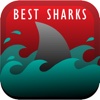 The Best Sharks+