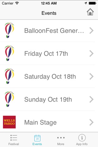 Balloon Festival screenshot 2
