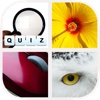 Allo! Close up - Guess the Zoomed in Photo Trivia Challenge