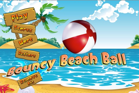 Bouncy Beach Ball – Inflated Ball Outdoor Avoidance screenshot 4