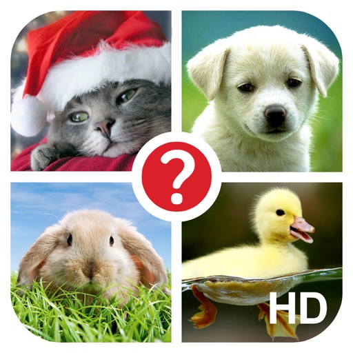 Guess the word HD ~ 4 Pix /// 4 картинки ~ угадай слово по фото HD iOS App