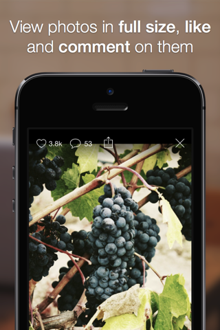 Colorbay: Photo Discovery, Redefined screenshot 4