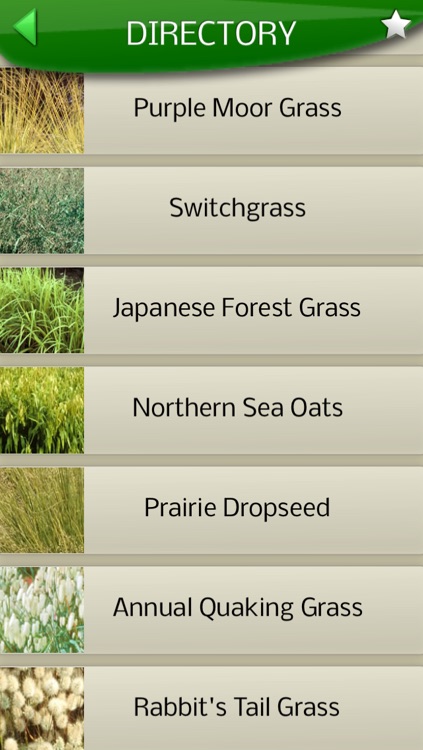 Midwest Ornamental Grasses