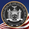 New York Laws (Complete list of all 100 NY Law - 2013)