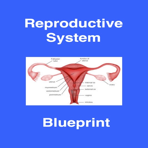 Reproductive (OB/GYN) Blueprint PANCE/PANRE Review