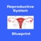 This application is a review of the content of the Reproductive Blueprint Section of the NCCPA Blueprint for the PANCE and PANRE