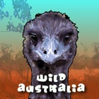 Taronga Zoo - Wild Australia