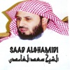 Coran Saad Alghamidi سعد الغامدي