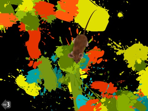 Catch and Paint Games for Cats screenshot 3