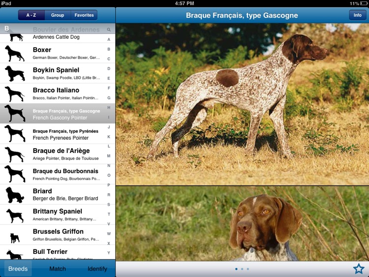 Perfect Dog HD Pro - Ultimate Breed Guide To Dogs