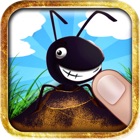 Ant Wanted - Smash Insect and Squish Frogs Game