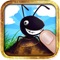 Ant Wanted - Smash Insect and Squish Frogs Game