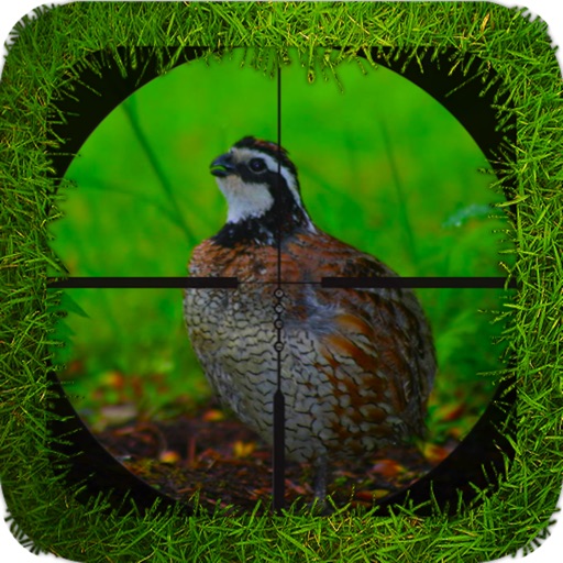 Quail Hunting Reloaded icon