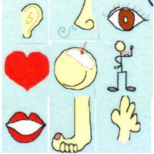 9S-Whole Brain Development