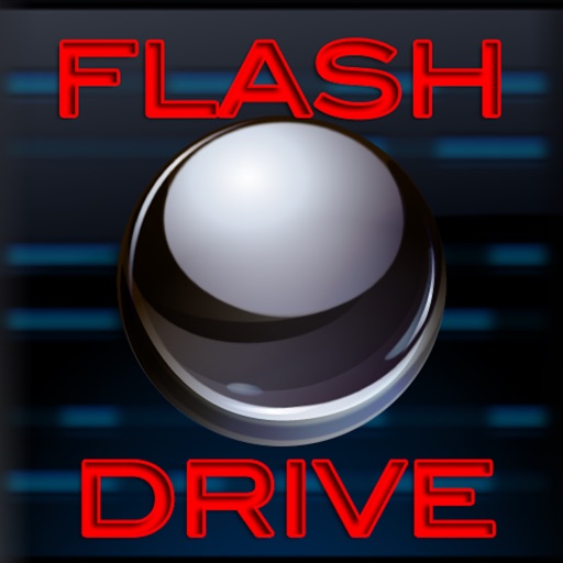 Flash Drive Business Icon