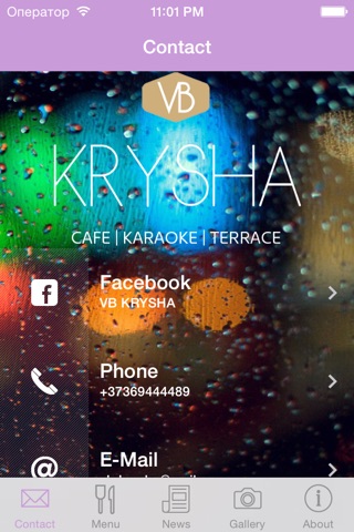 VB KRYSHA screenshot 2
