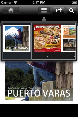 Guía Turística de Puerto Varas screenshot 2