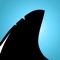 Identify the most common and sought after shark teeth