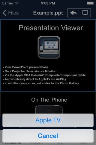 Presentation Viewer screenshot 2