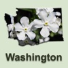 Washington Rare Plants