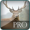 3D Deer Hunt-ing Big Game Bullet Juggle Challenge Pro