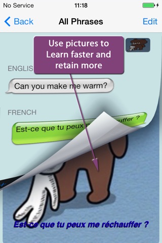 French - Talking English to French Translator and Phrasebook screenshot 4