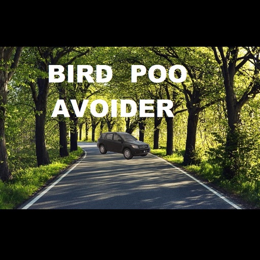 Bird Poo Avoider iOS App