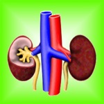 Kidney Diseases Facts Urology Health Eval Tips Tool, Simulations Guide and Behavior with Renal  Dialysis Glossary Review