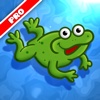 Frog Spin PRO