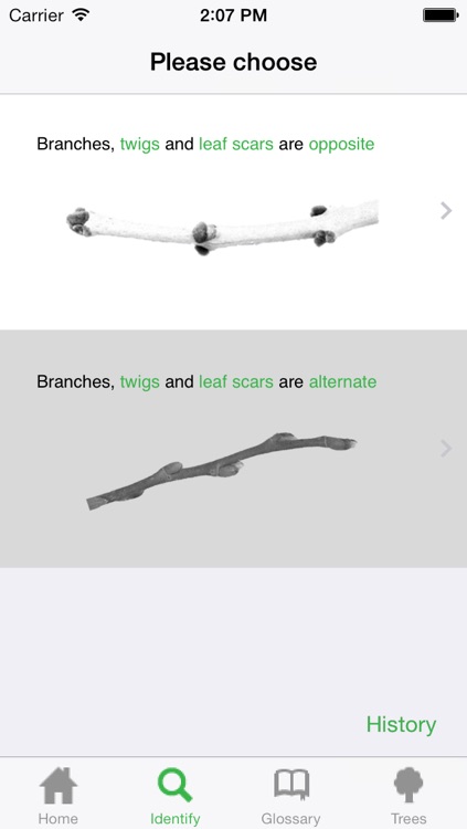 Identitree Starter Kit