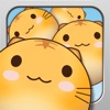ネコごろごろ脱出ゲーム ~びータマ転がし~