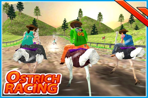 Ostrich Racing screenshot 3