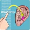 Drag&Drop Reflexology (ears)