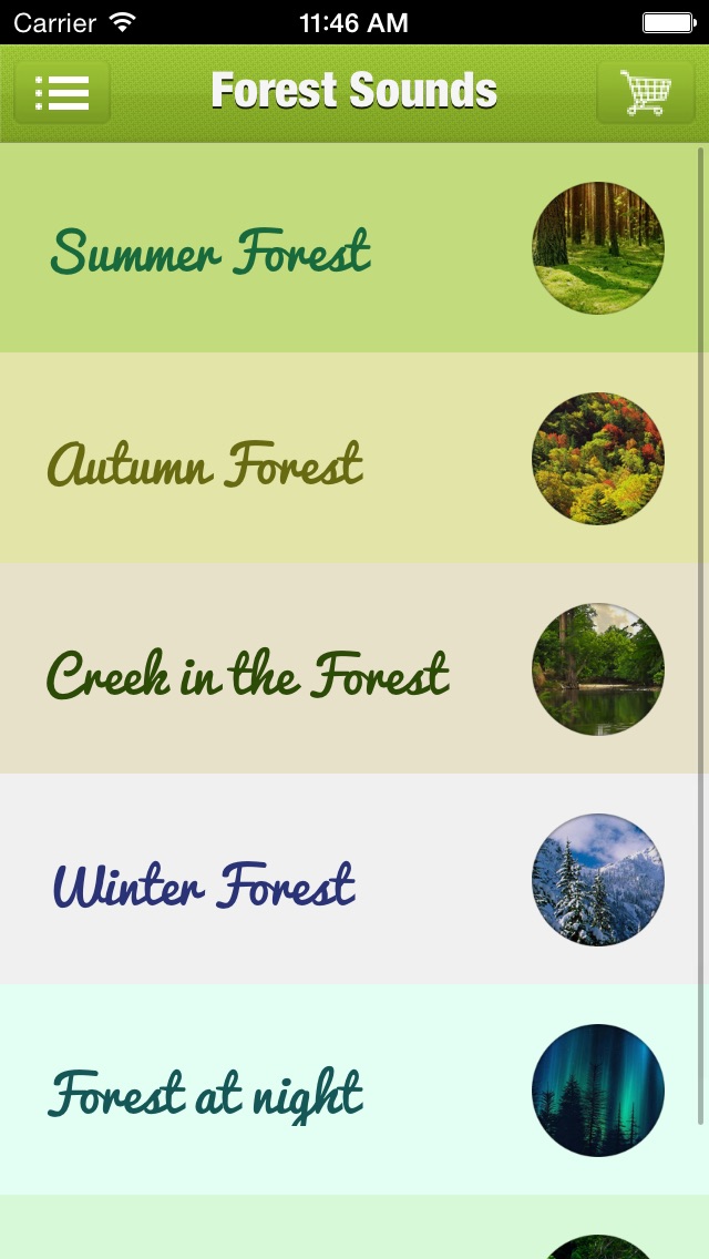 FOREST SOUND FOR SLEEP AND MEDITATION SỨC KHOẺ FOREST SOUND FOR SLEEP AND MEDITATION