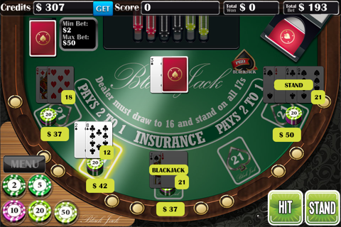 Blackjack Pro­ screenshot 3