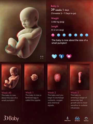 3D Baby Pregnancy Tracker & Calendar for iPad screenshot 4