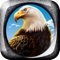 Eagle Flight Control Free Game