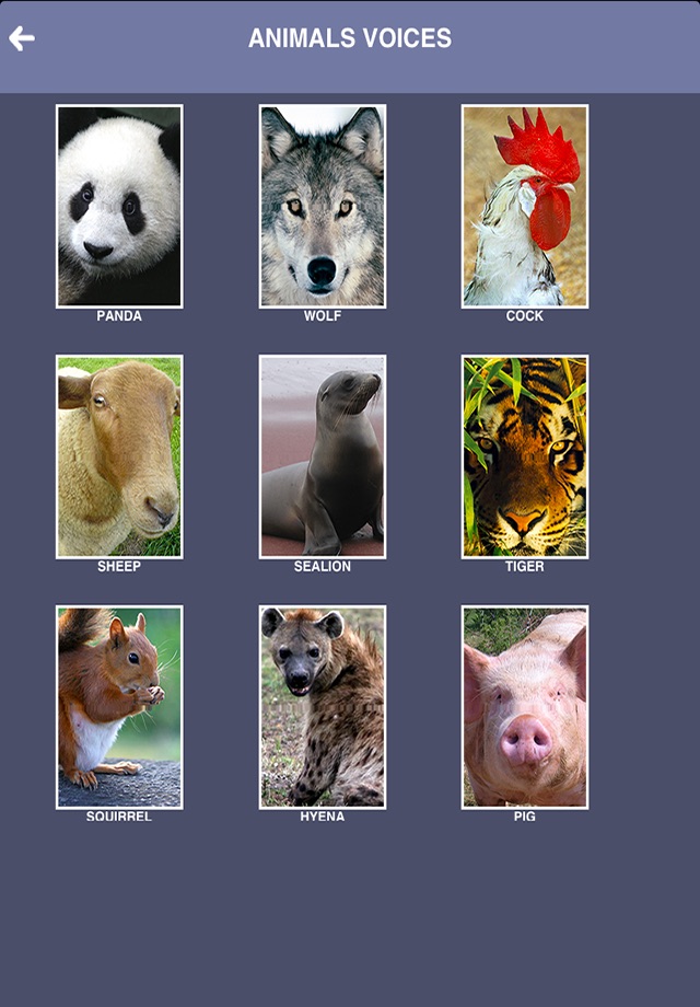Animals Songs - Speaking with your animal, fun app for adults and kids screenshot 2