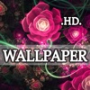 Amazing Wallpapers Collection HD