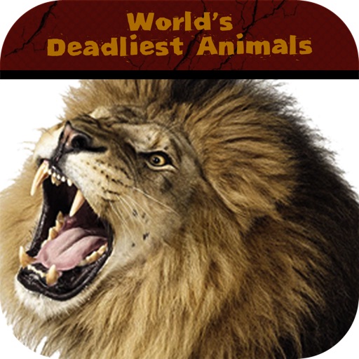 World's Deadliest Animals