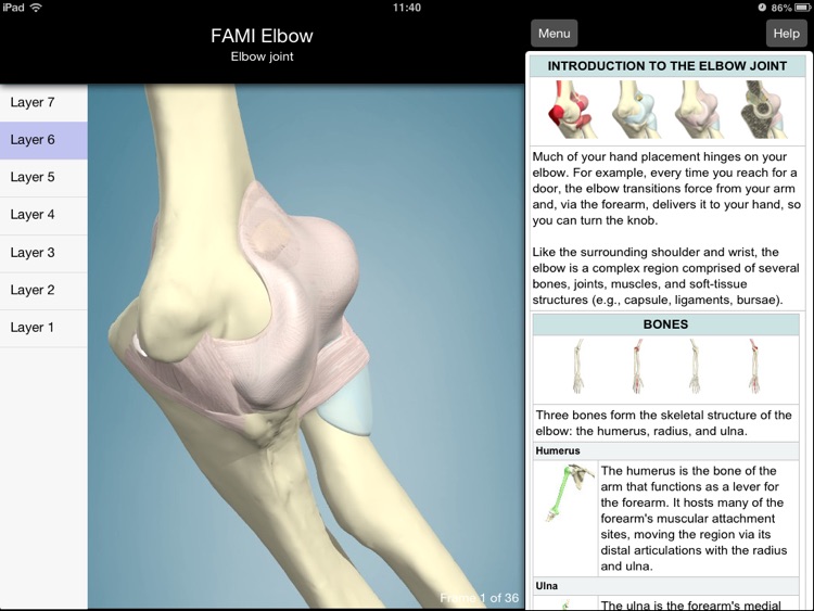 Functional Anatomy for Movement and Injuries: Elbow screenshot-3