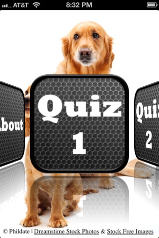 Dog Trivia - a Dog Lovers Quiz screenshot 2