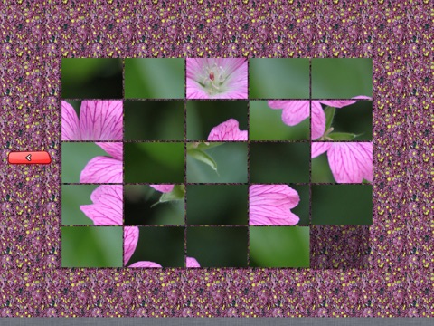 Natural Puzzles screenshot 4