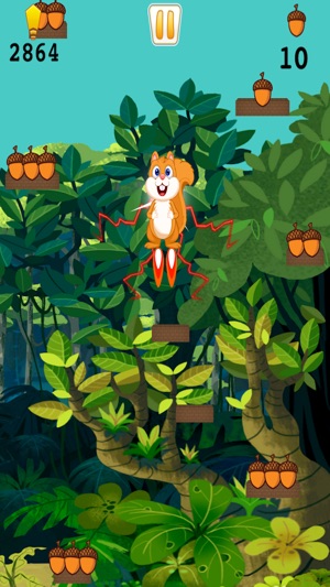 Squirrel Happy Jump Nut - Fun Acorn Collecting Adventure(圖5)-速報App