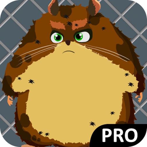 Wash Pet: Lovely Hamster Pro iOS App