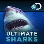 Ultimate Sharks Free