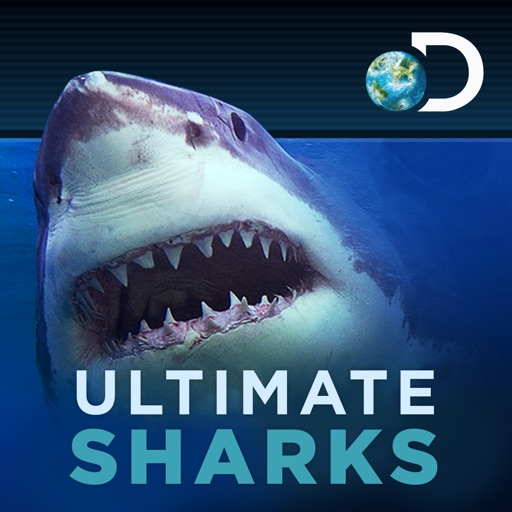 Ultimate Sharks Free