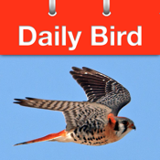 Daily Bird - the beautiful bird a day calendar app icon
