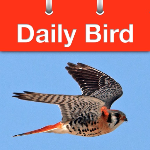 Daily Bird the beautiful bird a day calendar app by Birds In The Hand